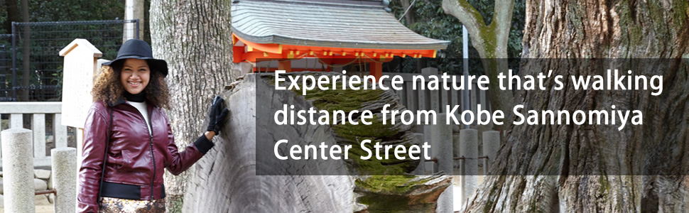 Experience nature that’s walking distance from Kobe Sannomiya Center Gai Shopping Street